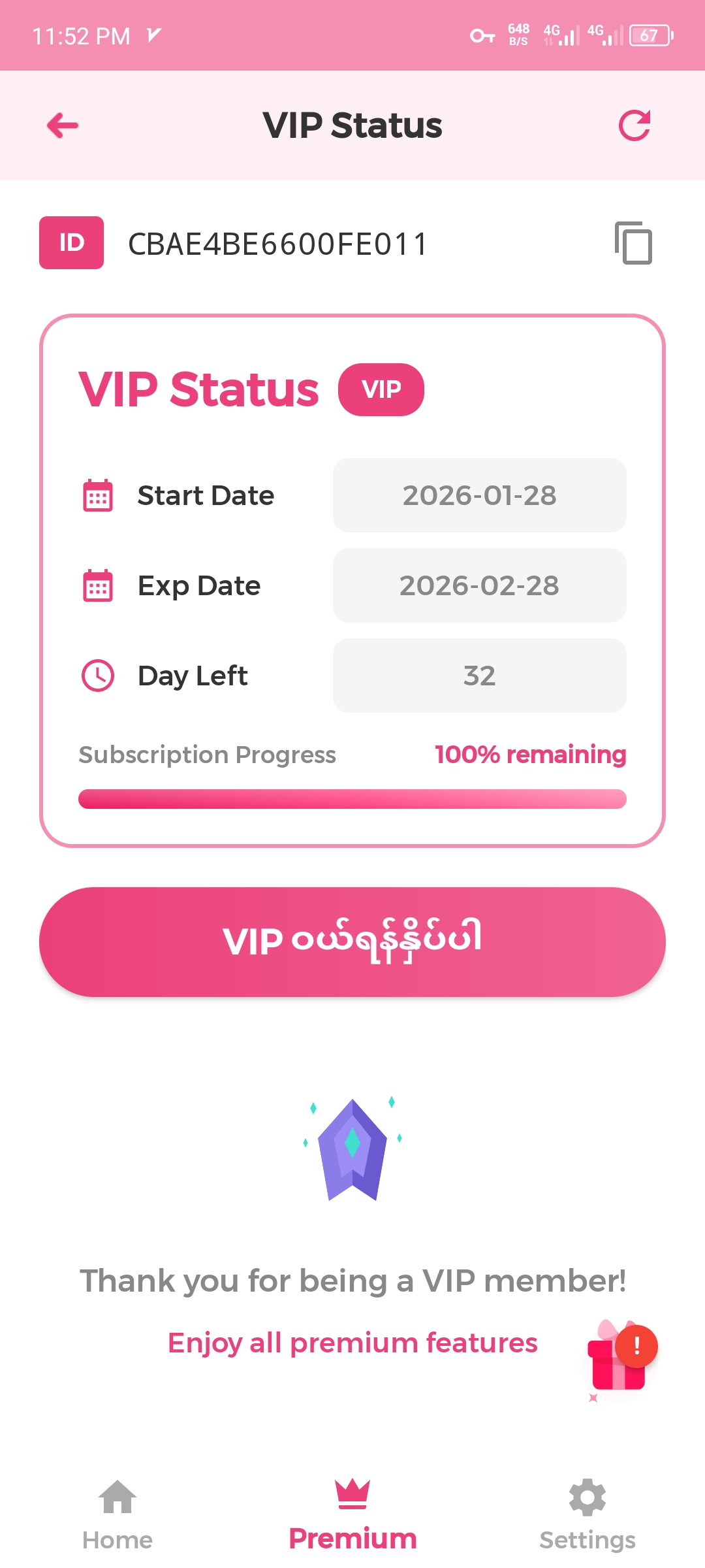 YaYa VPN VIP Status
